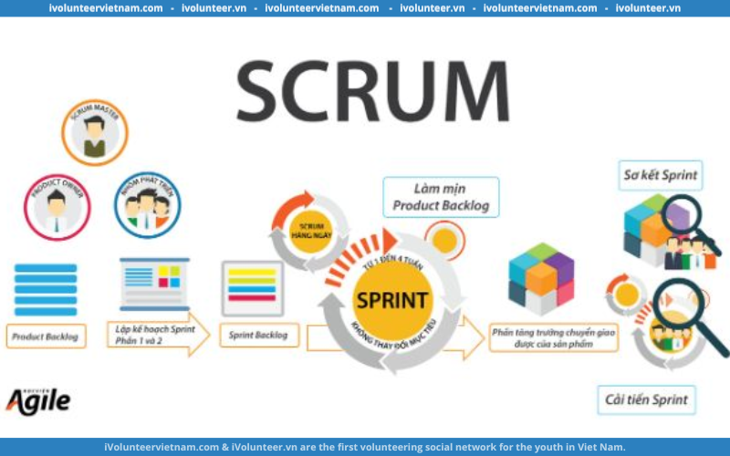 Khóa Học Về Scrum Trong 1 Giờ Cho Người Mới Bắt Đầu